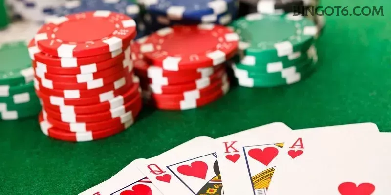 Apostas esportivas da bingo com odds competitivas